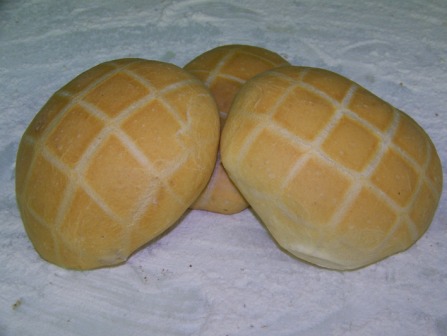 Tartarughe morbide : pezz. gr 85