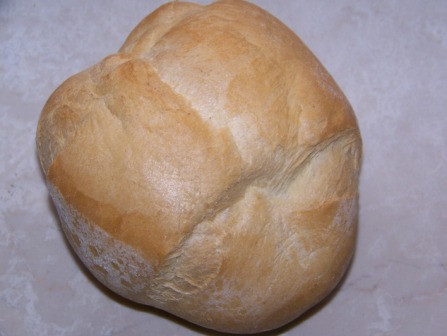 Maggiolino: pezz.gr.50